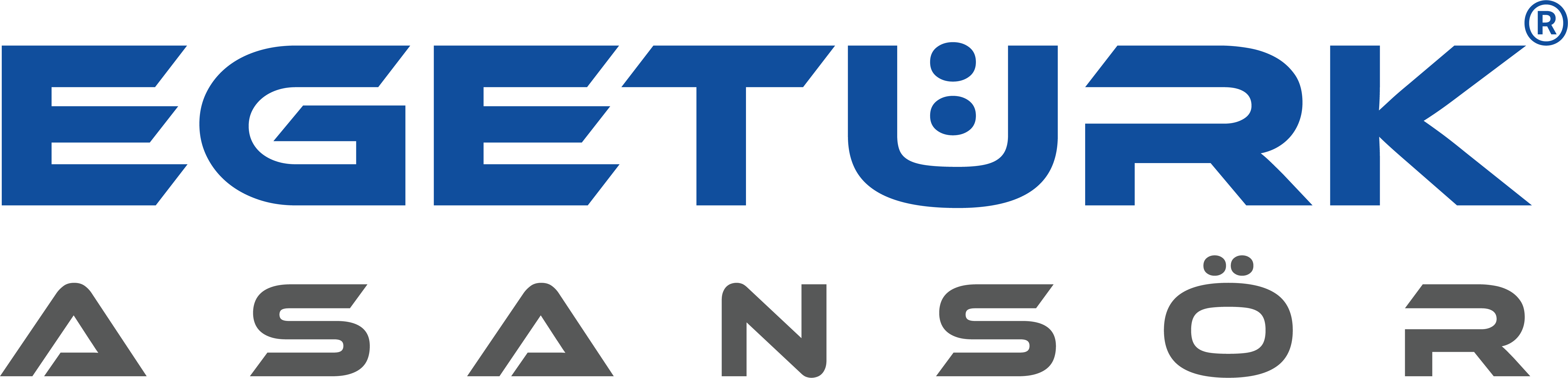 Asansör Servis